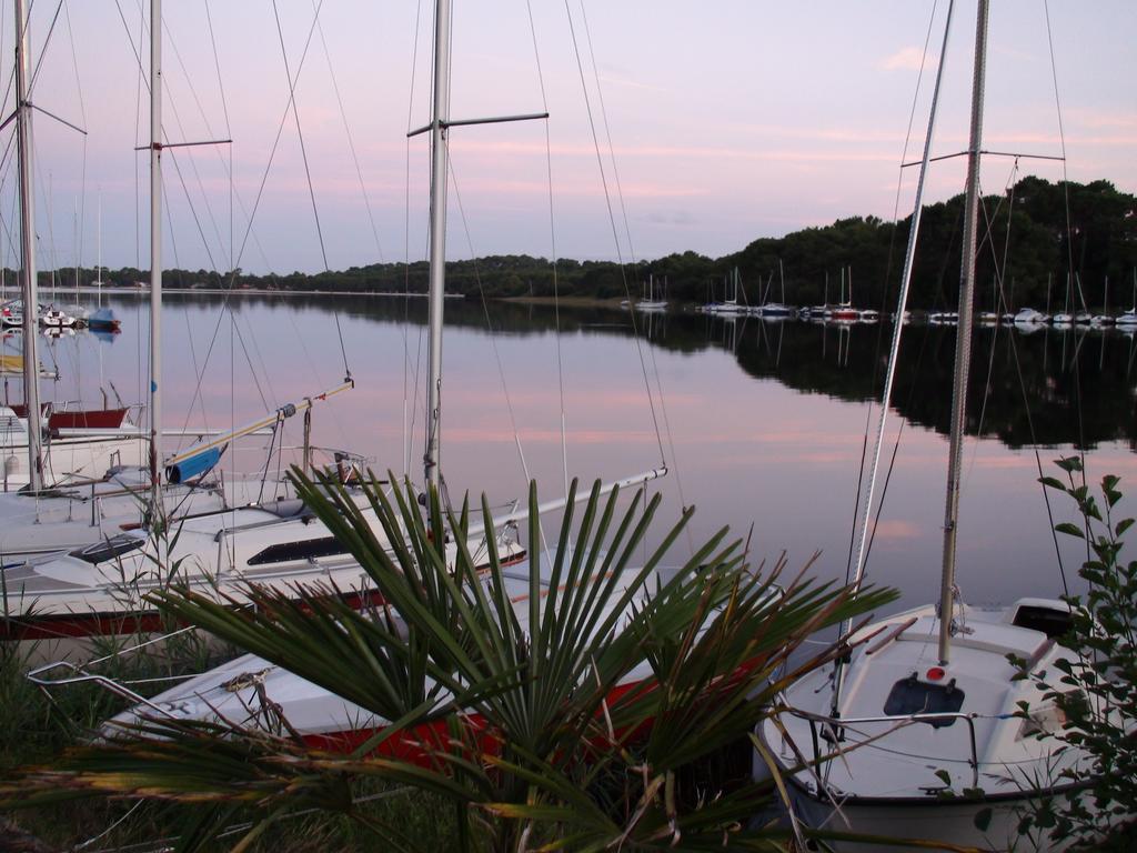 Studio Mansarde Climatise Les Roseaux Bord De Lac Biscarrosse Exteriör bild
