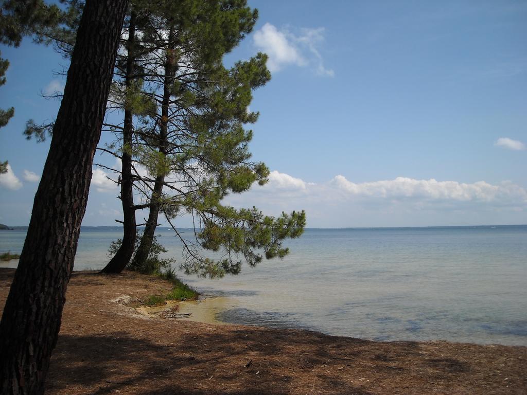 Studio Mansarde Climatise Les Roseaux Bord De Lac Biscarrosse Exteriör bild