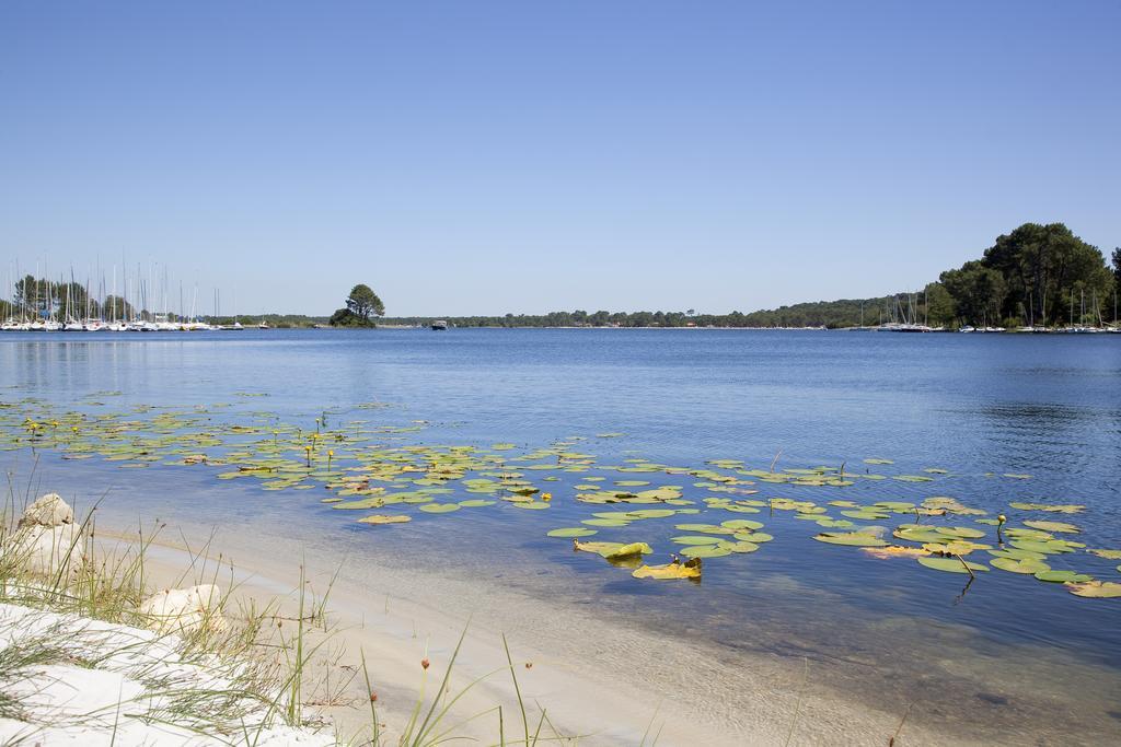 Studio Mansarde Climatise Les Roseaux Bord De Lac Biscarrosse Exteriör bild