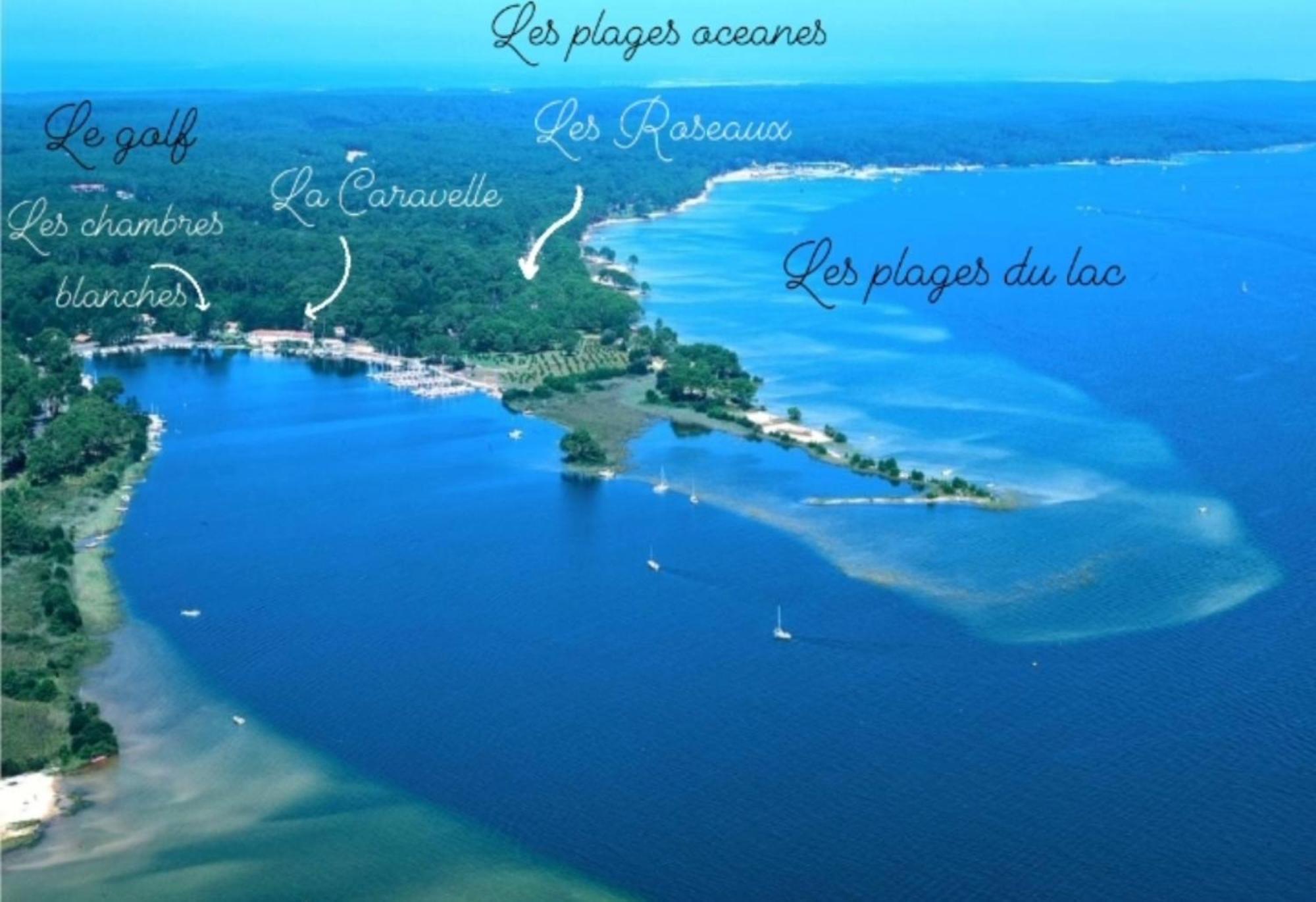 Studio Mansarde Climatise Les Roseaux Bord De Lac Biscarrosse Exteriör bild