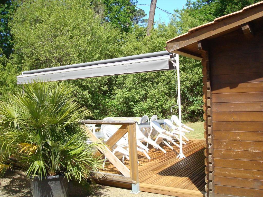 Studio Mansarde Climatise Les Roseaux Bord De Lac Biscarrosse Exteriör bild