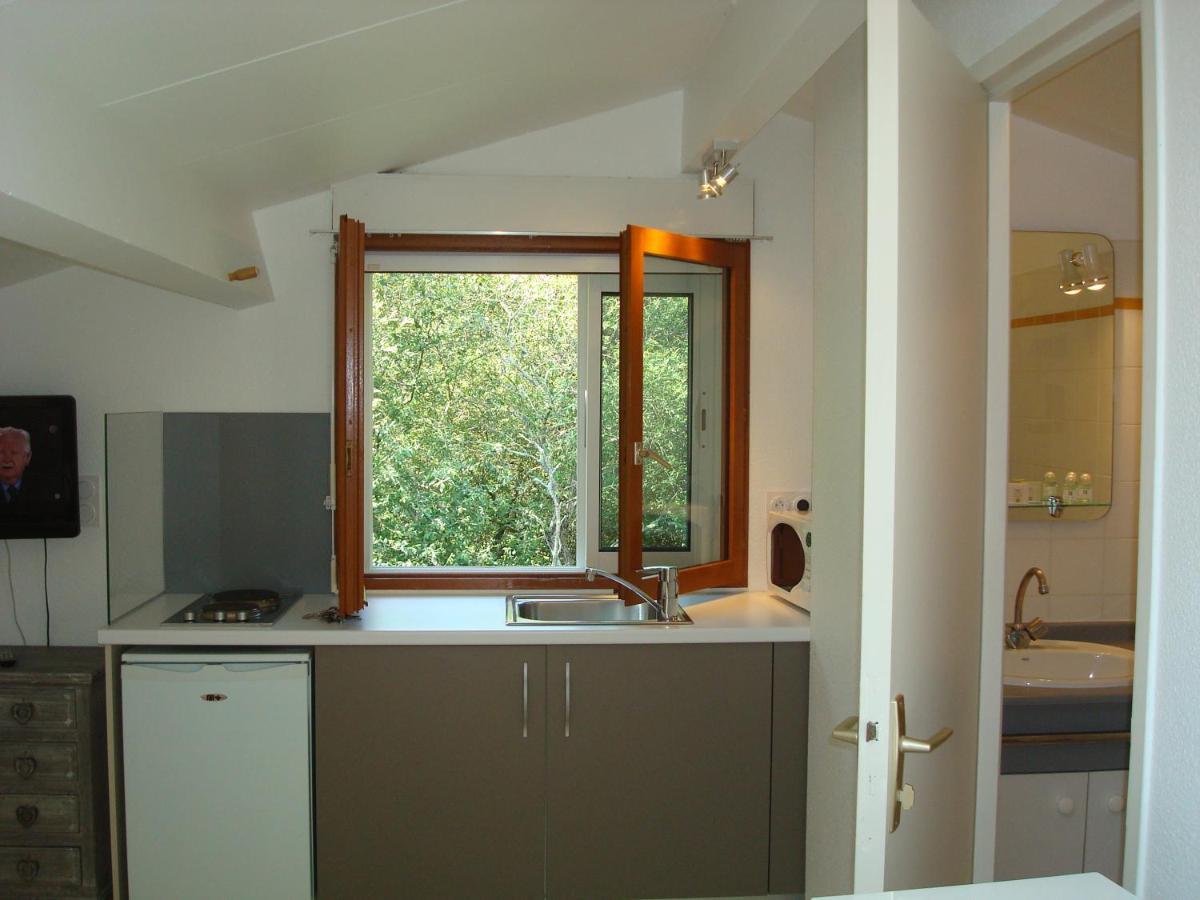 Studio Mansarde Climatise Les Roseaux Bord De Lac Biscarrosse Exteriör bild